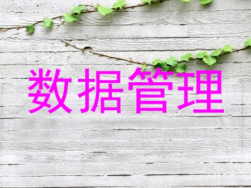 数据管理