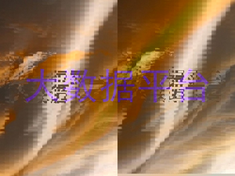 大数据平台