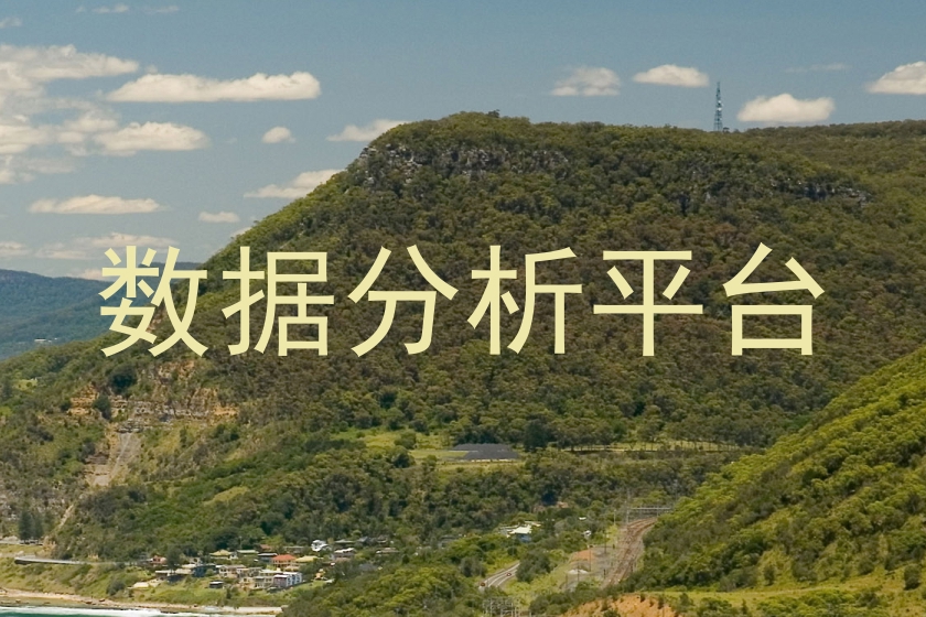 数据分析平台