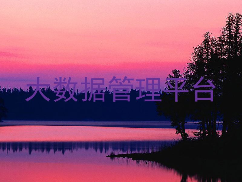 大数据管理平台