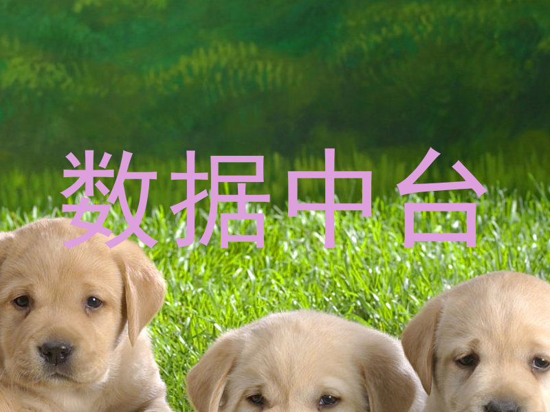 数据中台