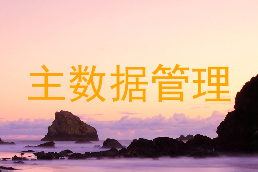 主数据管理