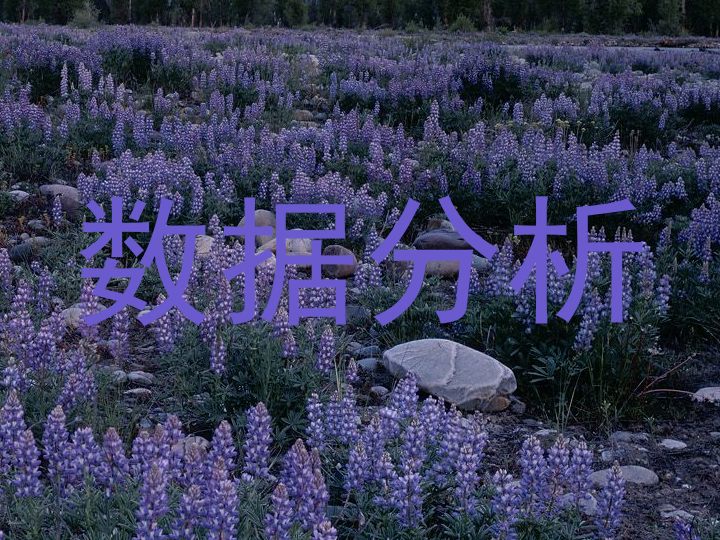数据分析