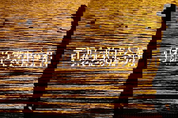 可视化数据分析