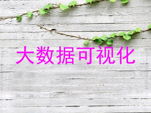 大数据可视化