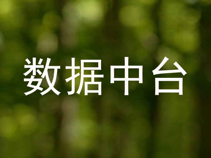 数据中台