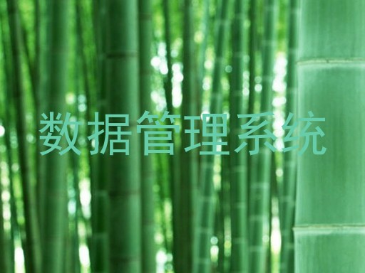数据管理系统