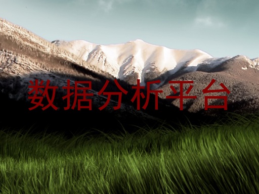 数据分析平台