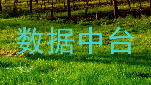 数据中台