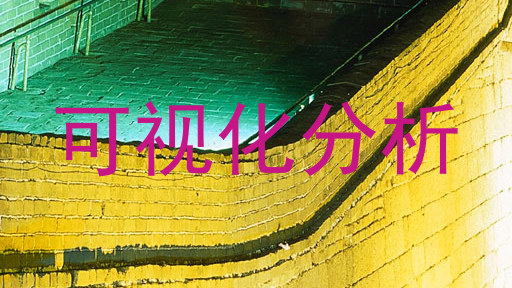 可视化分析