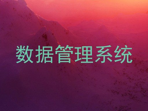数据管理系统
