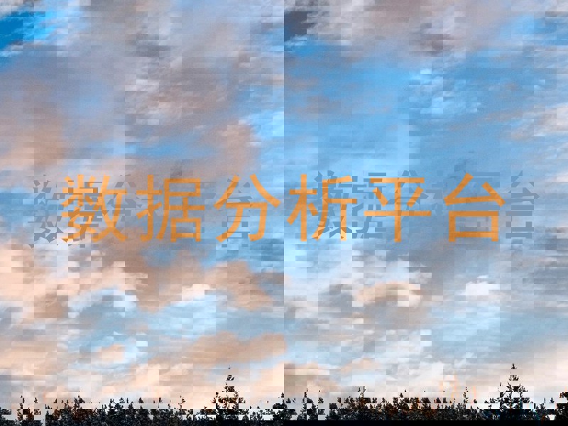 数据分析平台