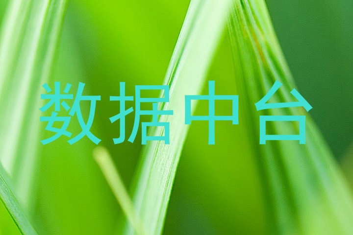 数据中台