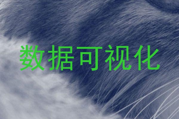 数据可视化