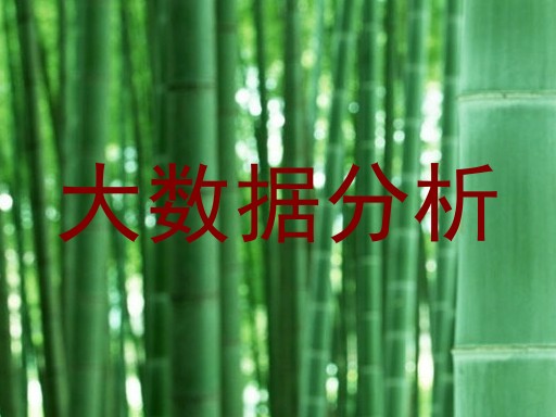 大数据分析