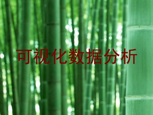 可视化数据分析