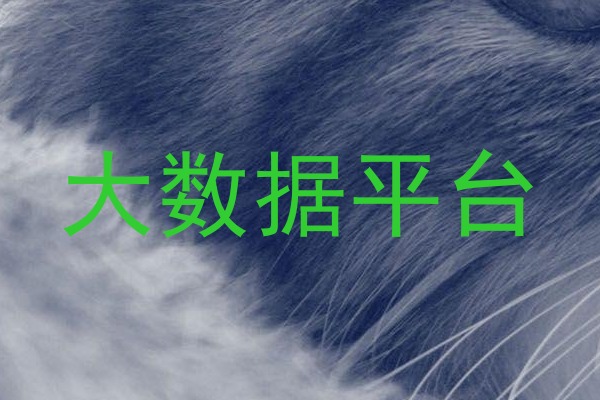 大数据平台