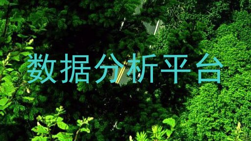 数据分析平台