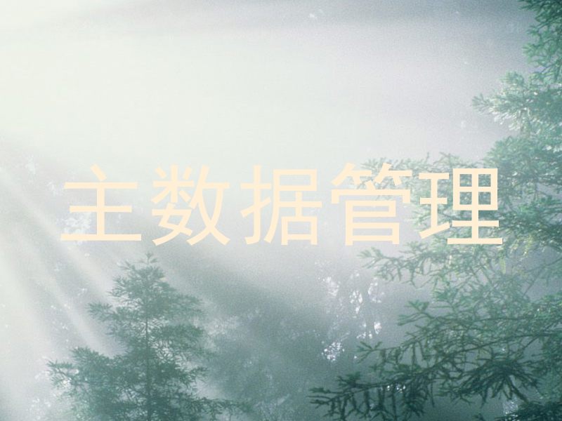 主数据管理