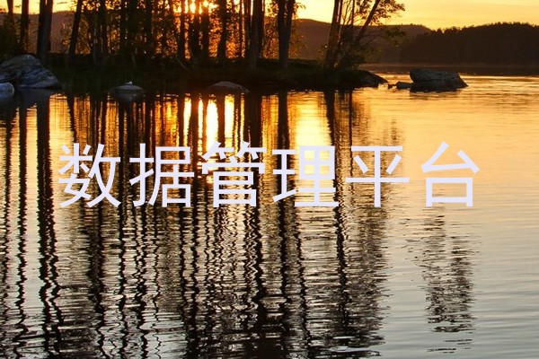 数据管理平台