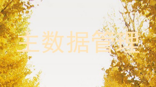 主数据管理