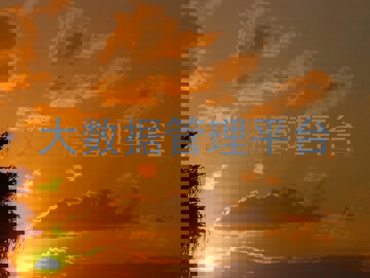 大数据管理平台