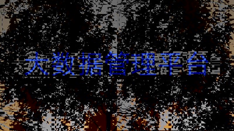 大数据管理平台