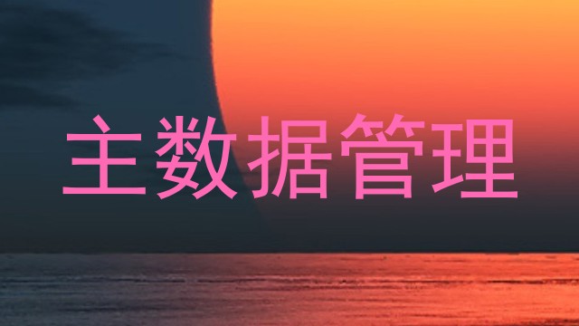 主数据管理