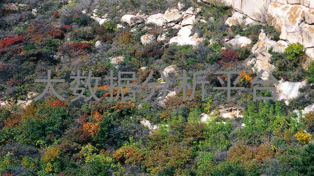 大数据分析平台