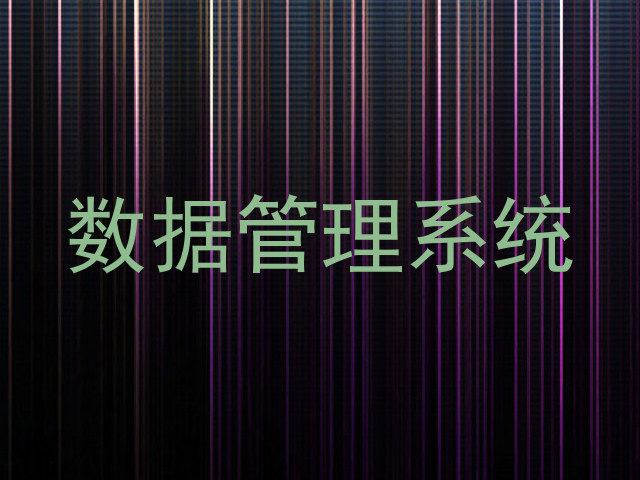 数据管理系统