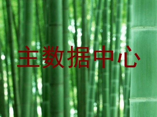 主数据中心