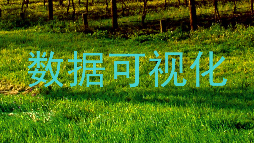 数据可视化