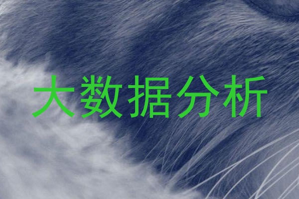 大数据分析