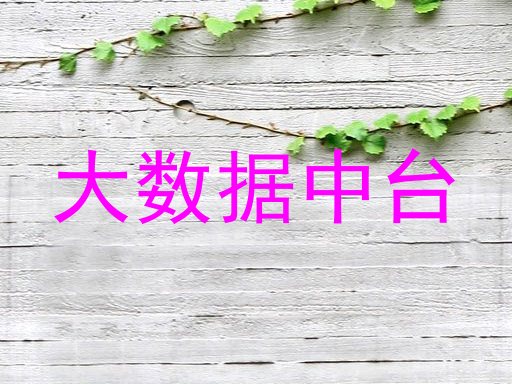 大数据中台