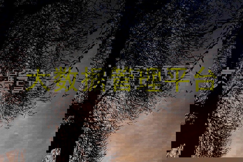 大数据管理平台