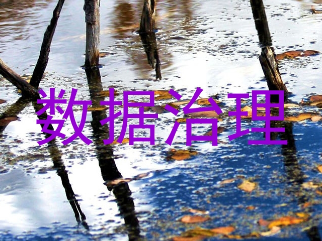 数据治理