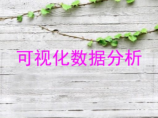 可视化数据分析