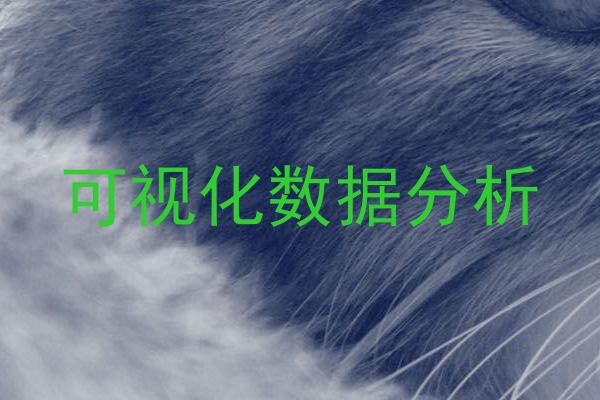 可视化数据分析