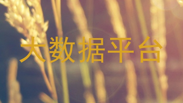 大数据平台
