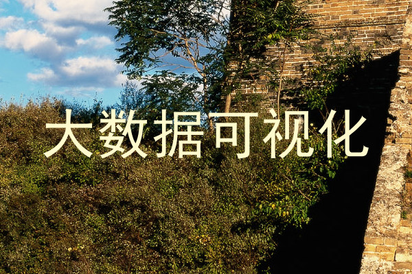 大数据可视化