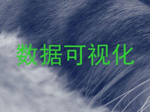 数据可视化