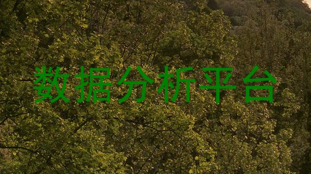 数据分析平台