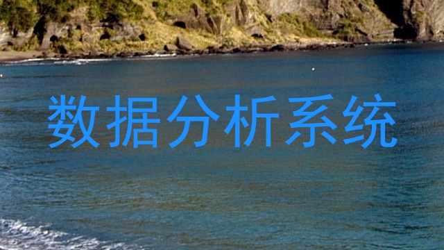 数据分析系统
