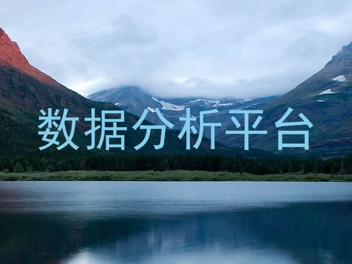 数据分析平台