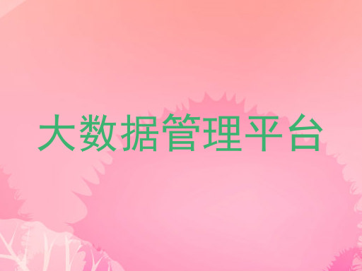大数据管理平台