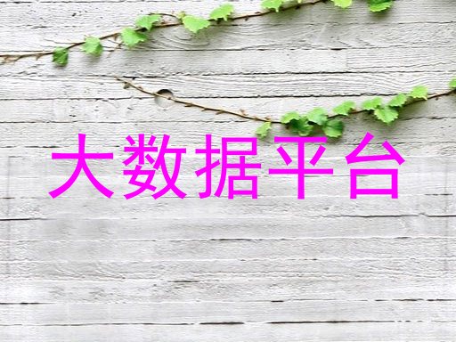 大数据平台