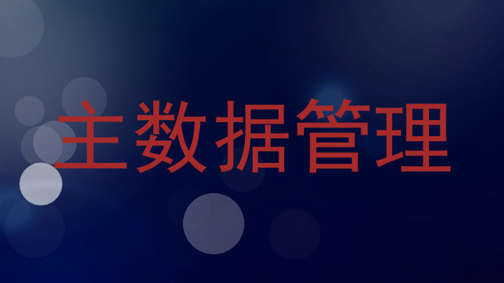主数据管理