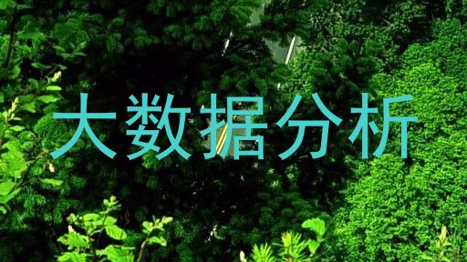 大数据分析