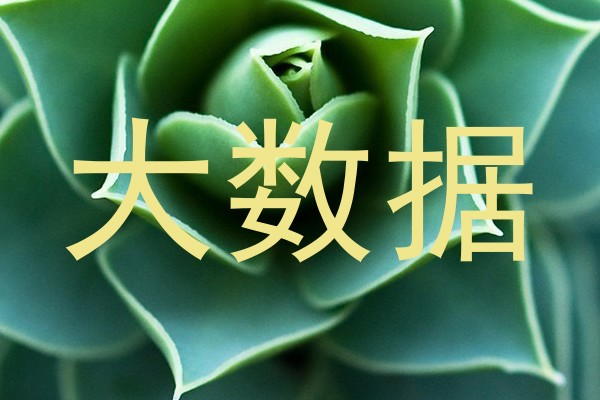 大数据