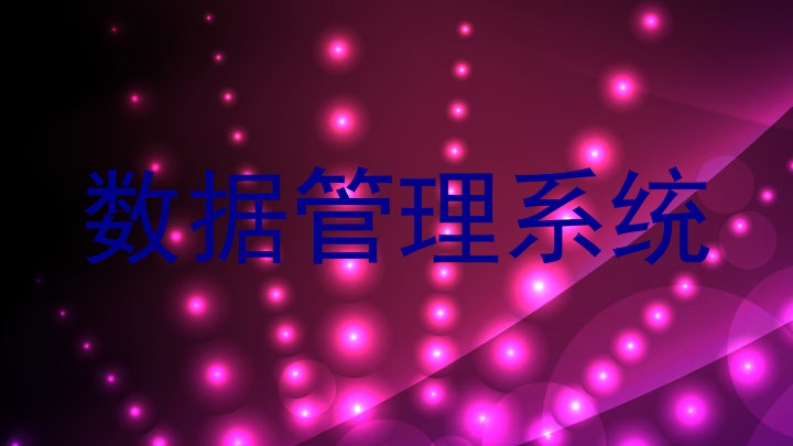 数据管理系统